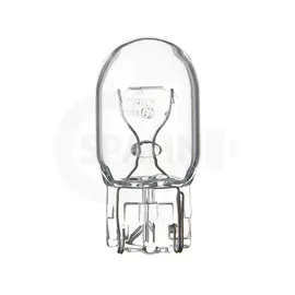 W21W Glassockellampe