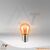 Osram PY21W Original gelbe Kugellampe 12V 21W BAU15s ohne Verpackung, langlebige und leistungsstarke Blinkleuchte
