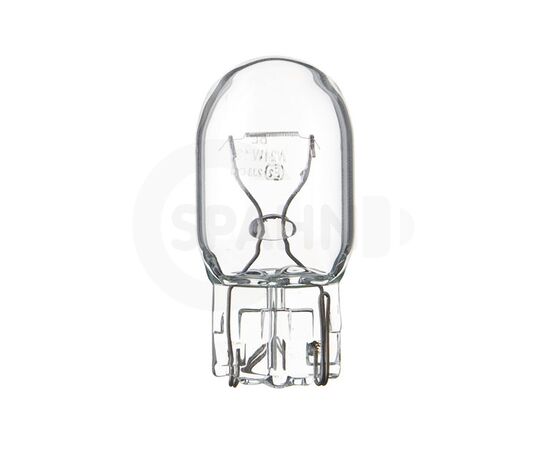 W21W Glassockellampe